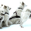 DSCN1063.jpg