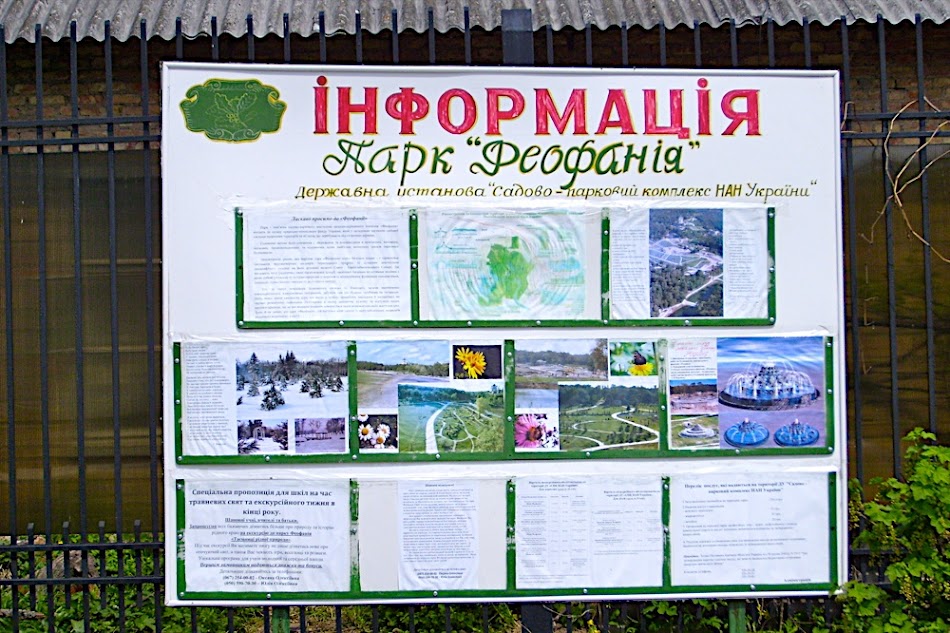 S7000001.JPG