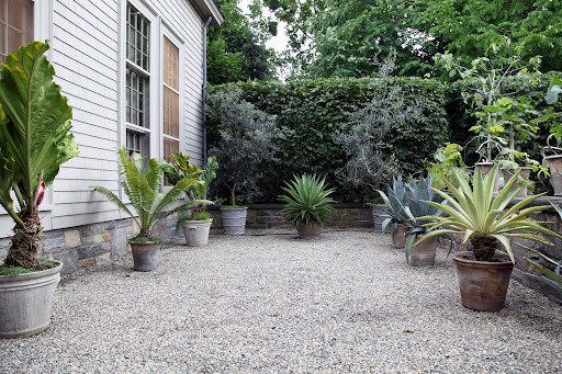 Martha's Sunken Garden!  Here, Martha displays some of her favorite tropical plants.