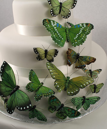 You can decorate this cake yourself! You can decorate this cake yourself!
