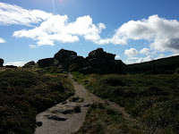 20120919_113310.jpg Photo