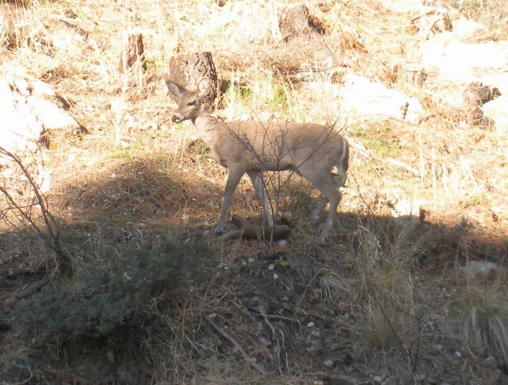 [DSCN2245%255B3%255D.jpg]