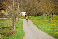 DSC_3766.JPG Photo
