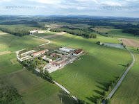 Vrabce_023.JPG