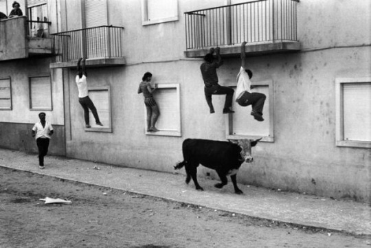 [viral-picdump-pics-8%255B2%255D.jpg]