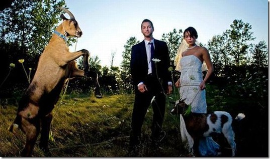 viral-picdump-pics-6