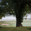 Régional Golf Ligue Centre Est
