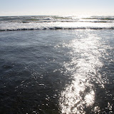IMG_8349.JPG