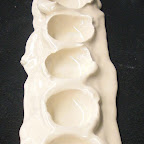 CIMG0568.JPG