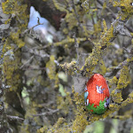 DSC_0019.JPG