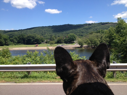 Ah, there's nothing like watching the scenery go by.  I can't wait to be by the water again.