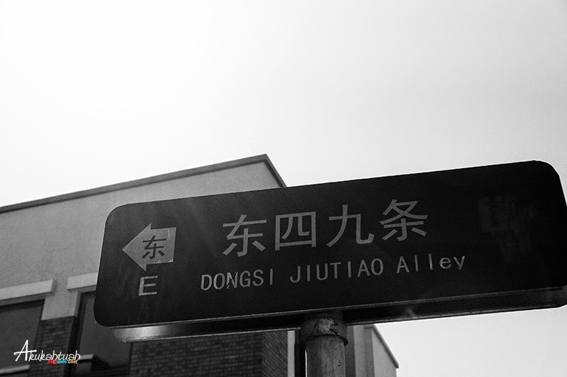 DSC02502 DSC02502