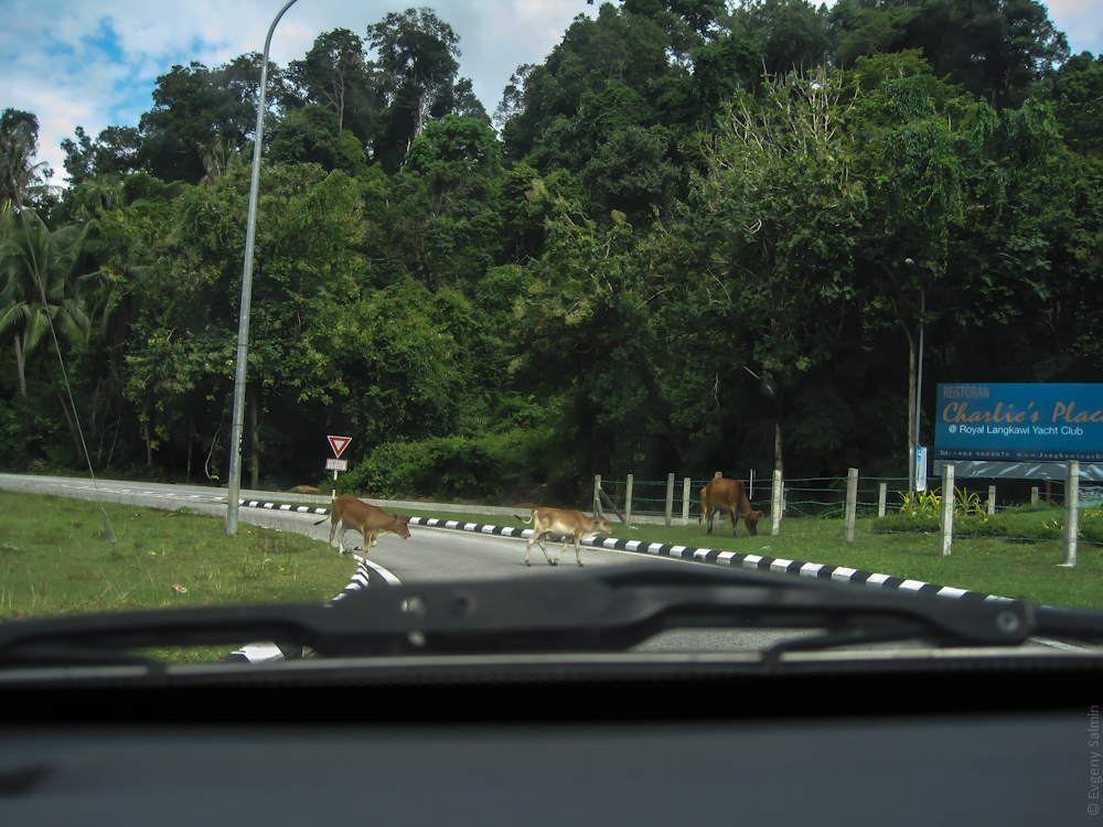 Лангкави, Малайзия - август 2012 (ч.3 - Что посмотреть)