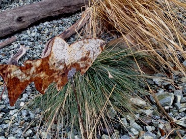 Salmon with a side of Festuca and a dormant Calamagrostis brachytricha