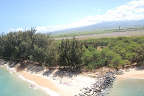 DSC_1194.JPG