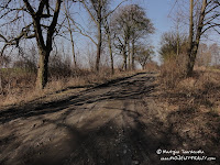 dsc06813.jpg