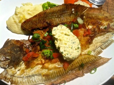 Flounder
