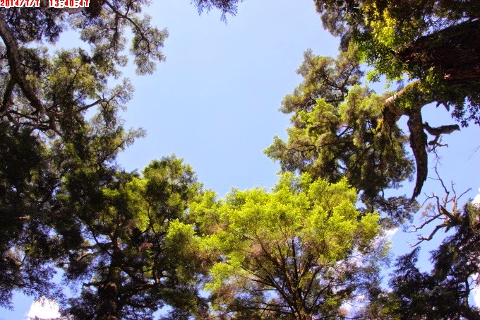 2014_0707_134047 2014_0707_134047