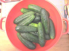 B.B pickles whole cukes