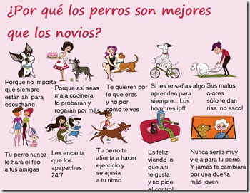 perros perros