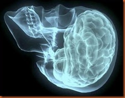 body and mind nervous-system-diseases.com WQ