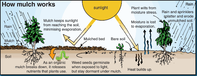 How-Mulch-Works chart
