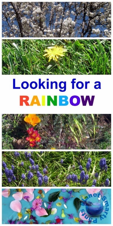 [Spring-Flower-Rainbows4.jpg]