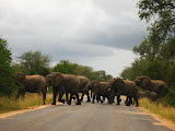South Africa - 151.JPG
