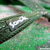 Sanuk slippers are built to last on sandy beaches