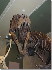 Kenosha Dinosaur Museum 014