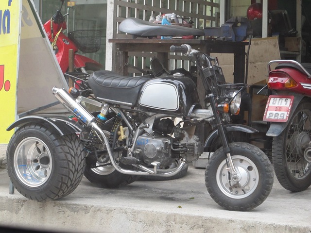 [IMG_54403.jpg]