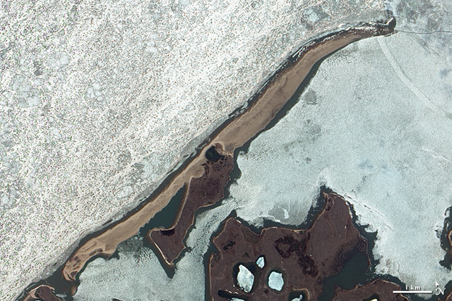 Satellite image of a barrier island facing the Beaufort Sea, on the northern edge of Canada's Northwest Territories. The image was acquired on 23 June 2004, before sea ice had melted or retreated in the summer thaw. The beach is tan and brown in the image, surrounded by ice in the ocean and the back bay. In the large image, the area behind the shoreline is pockmarked by marshes, ponds, and hummocks characteristic of 'thermokarst', landscapes created by the melting and refreezing of permafrost. Photo: Jesse Allen and Robert Simmon / NASA