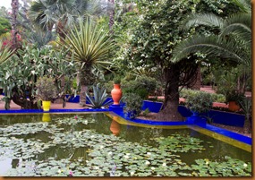 Marrakech majorelle pool Marrakech majorelle pool