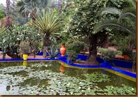 Marrakech majorelle pool