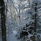 3-1-2010-021.jpg