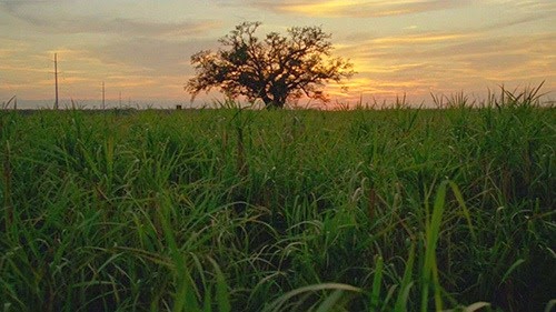 [True%2520Detective%2520Illuminati%252015%255B4%255D.jpg]