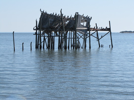 IMG_6157 IMG_6157