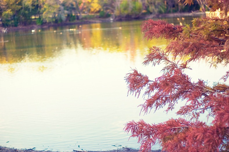 austin_autumn austin_autumn
