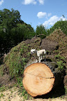 OK - Let's go around the farm to see more damage.