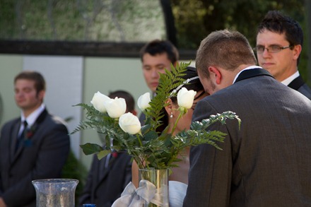 IMG_2526 IMG_2526