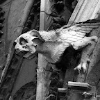 20100404_145.JPG