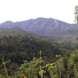 Liman seen from just beyond Sawahan (Daniel Quinn, December 2010)