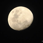The Moon