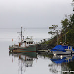 IMG_6160.CR2.jpg