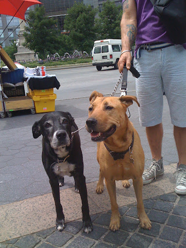 They lead us on a shared journey for as long or short a time as we have together