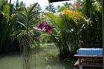 Amphawa, Thailand 110.JPG