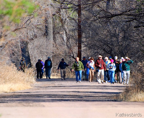 2. crowds-kab