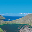Galapagos View