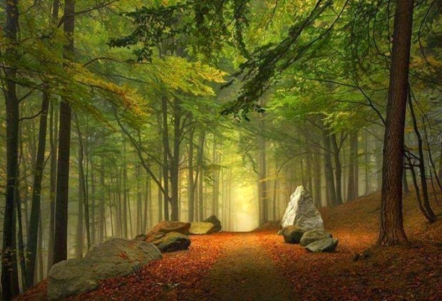 [Enchanted-Forest-Bavaria-Germany-620x422%255B4%255D.jpg]