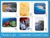 OCean-Life-Calendar-Connections34226